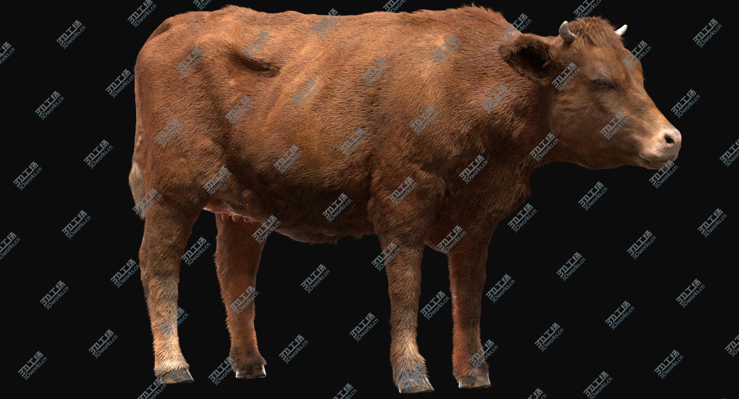 images/goods_img/2021040233/Cow (Rigged) 3D model/2.jpg